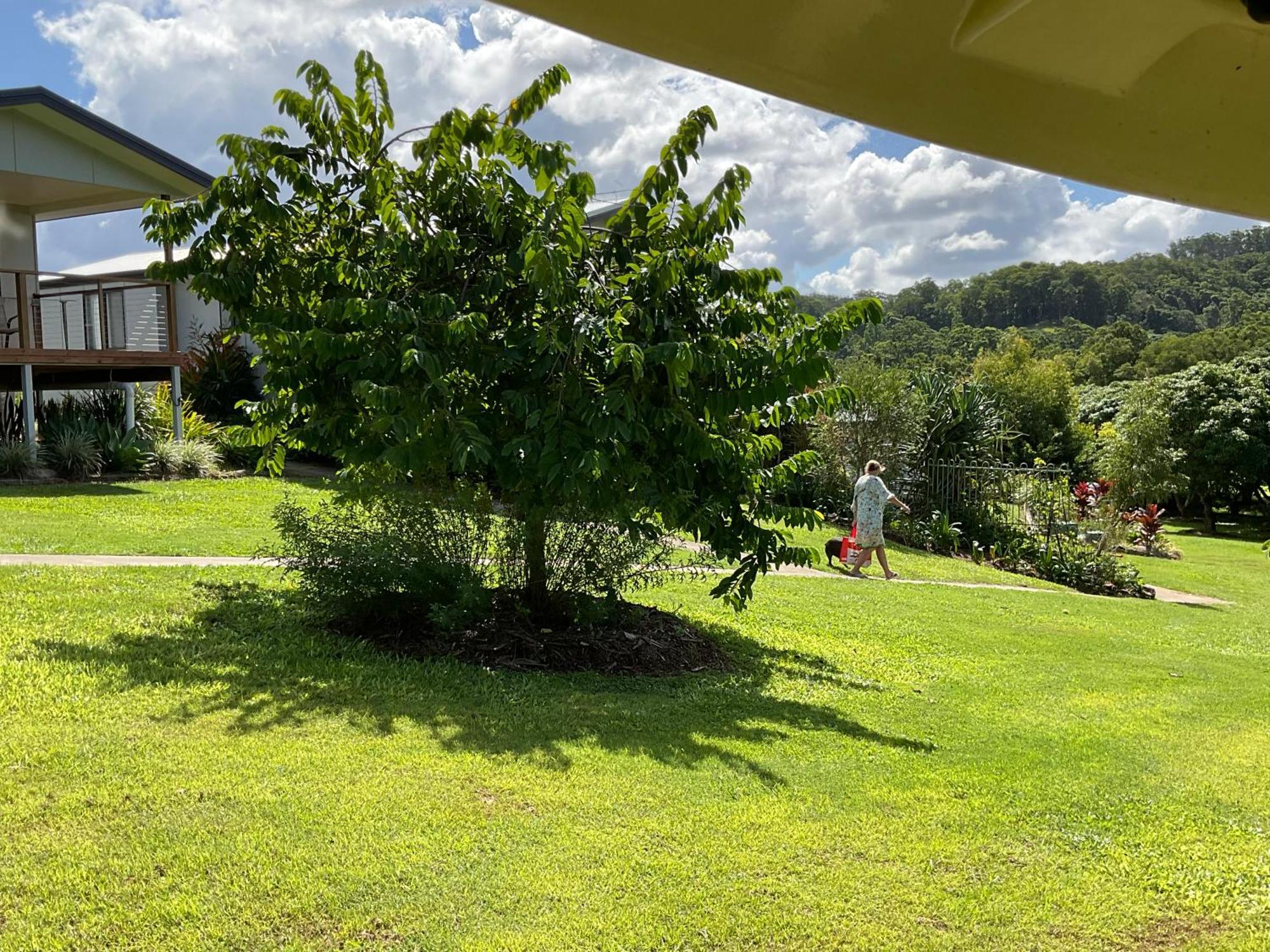 Sunshine Coast Retreat Your Own Private Golf Course Diddillibah Екстер'єр фото